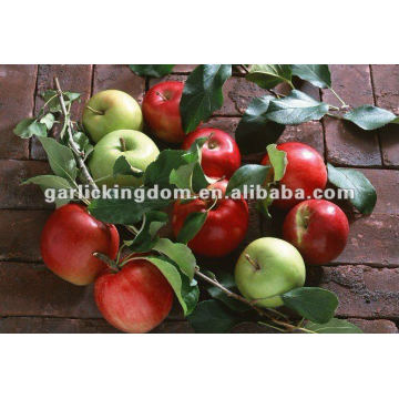Поставщик зеленого гала-яблока Новый сезон свежие королевские гала-яблоки